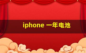 iphone 一年电池